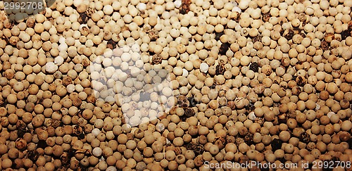 Image of white pepper background