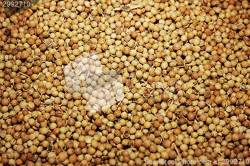 Image of coriander seeds 