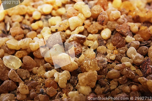 Image of Spices and herbs on oriental market