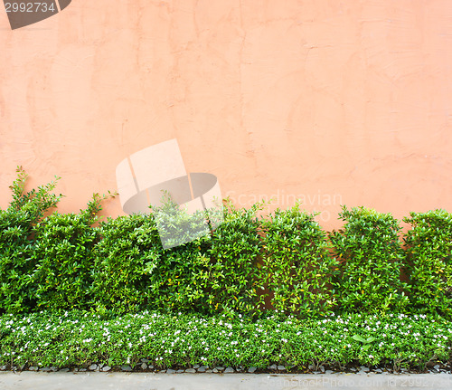 Image of Wall Background