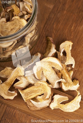 Image of mushrooms 