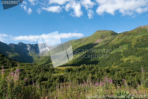 Image of Georgia mountain