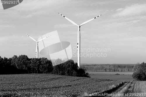 Image of Windmills