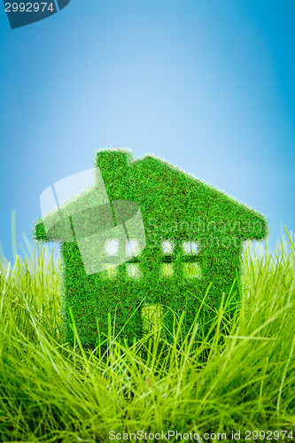 Image of House on the green grass