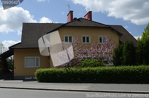 Image of stone house and two blooming apple trees
