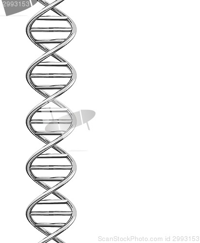 Image of the dna helix