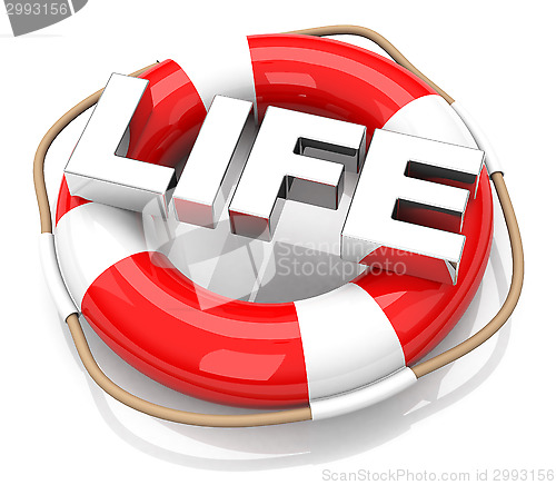 Image of the lifebuoy