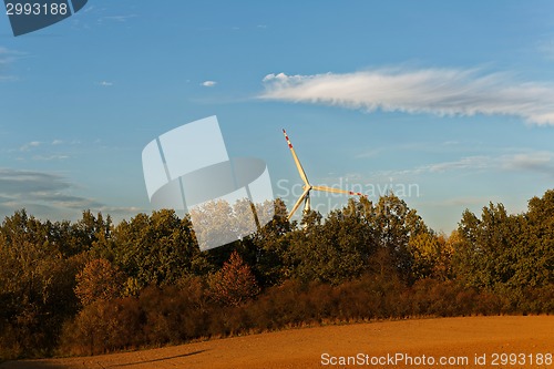 Image of Windmills