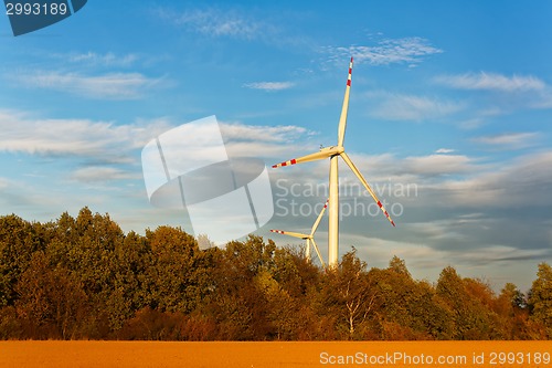 Image of Windmills