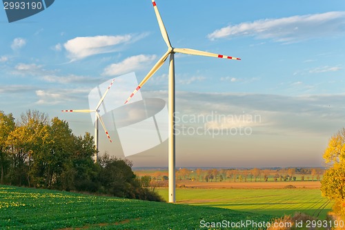 Image of Windmills