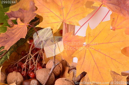 Image of autumn chestnuts on wooden background and blank paper card