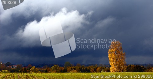 Image of autumn weather
