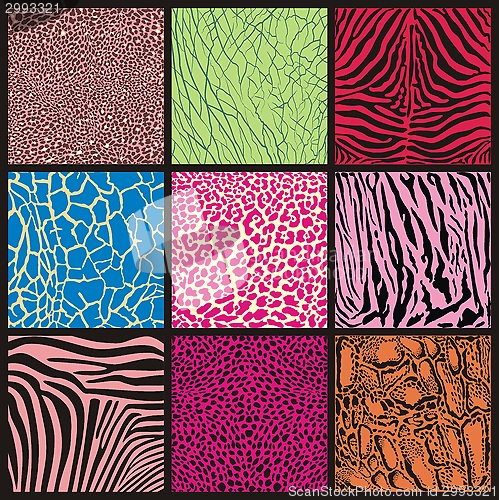 Image of Abstract Set Of Camouflage African Animals