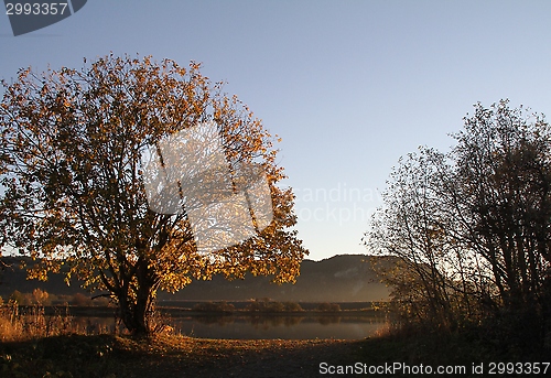 Image of Autumn in Trøndelag