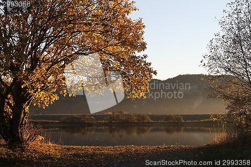 Image of Autumn in Trøndelag