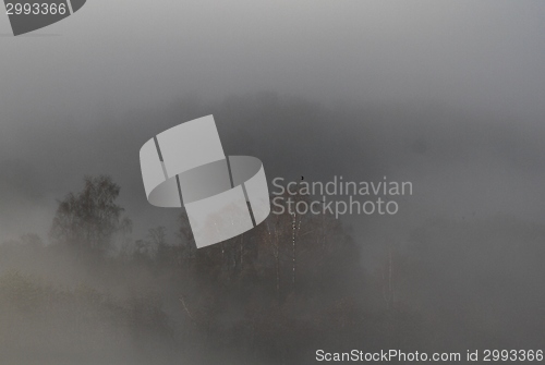 Image of Landscape with fog