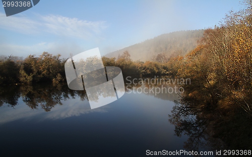 Image of Nature reserve by Trondheimsfjorden