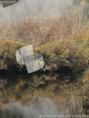 Image of River landscape