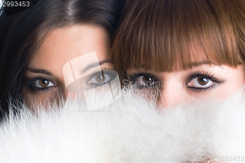 Image of Attractive girls dide behind white fur
