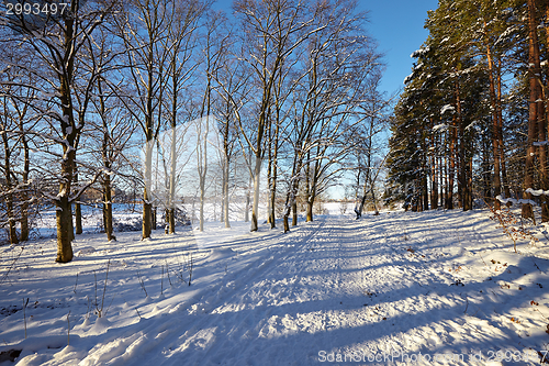 Image of Winter Park