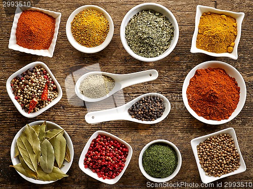 Image of various kinds of spices