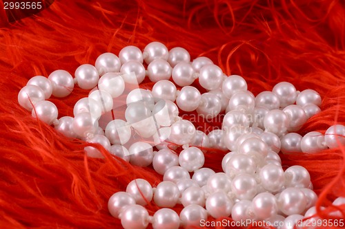 Image of Pearl necklace on luxury red fir background