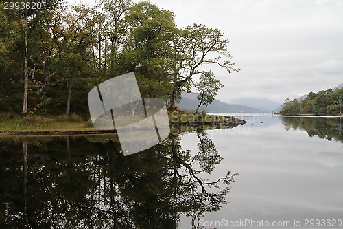 Image of Island in Loch Lomond