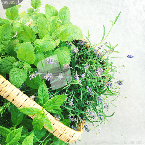 Image of Lavender and mint in a basket