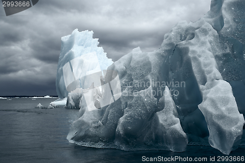 Image of Glaciers in Laguna San Rafael