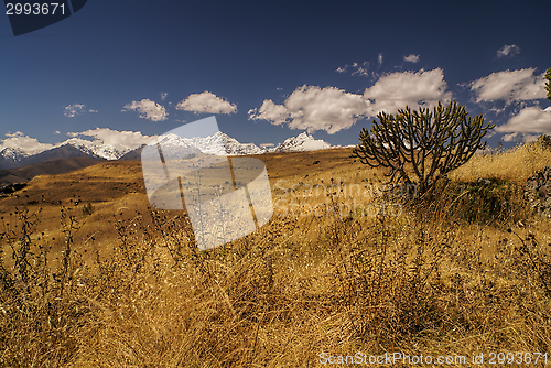 Image of Cordillera Negra in Peru