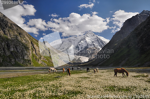 Image of Tian-Shan in Kyrgyzstan