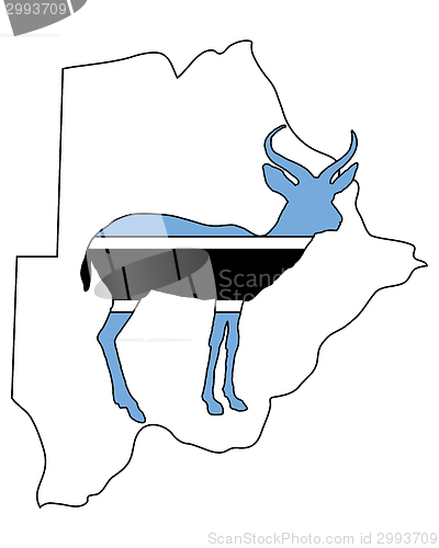 Image of Botswana antelope