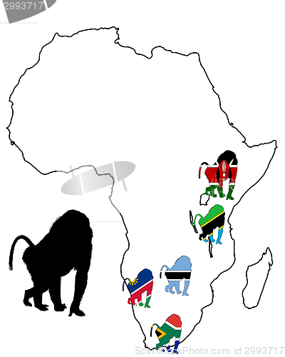 Image of Baboon range map