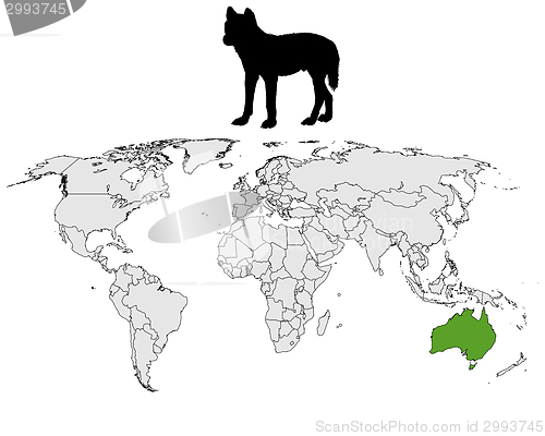 Image of Australian Dingo range