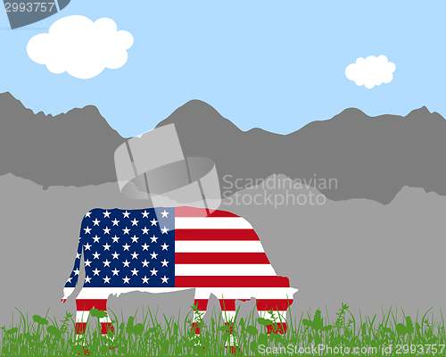 Image of Cow alp and flag of USA