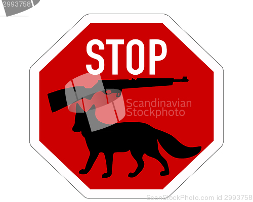 Image of Stop shoot  fox