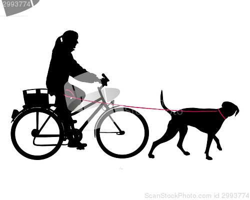 Image of Woman on bicycle with dog on leash