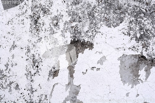 Image of White mortar wall texture.