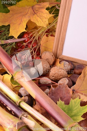 Image of viburnum and chestnut on vintage wooden boards background autumn concept