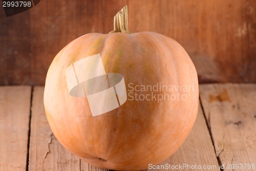 Image of autumn background with pumpkin on wooden board