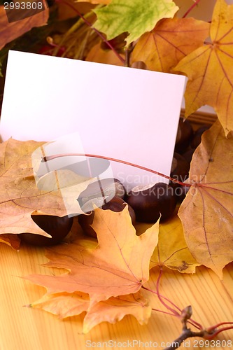 Image of background with paper sheet and autumn leaves