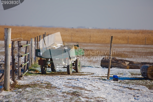 Image of Farm in winter