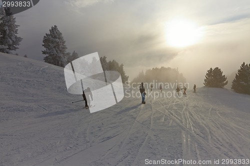 Image of Winter Landscape