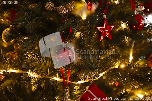 Image of Christmas Tree