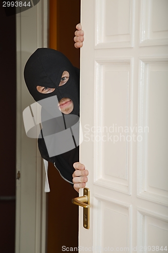 Image of Burglar