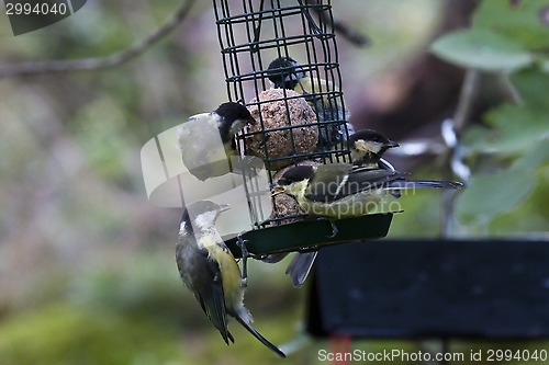 Image of dinnertime