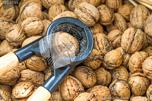 Image of walnut