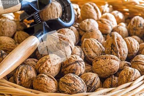 Image of walnut