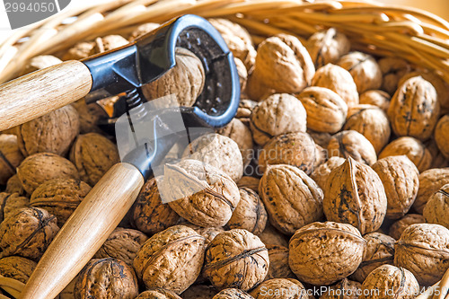 Image of walnut