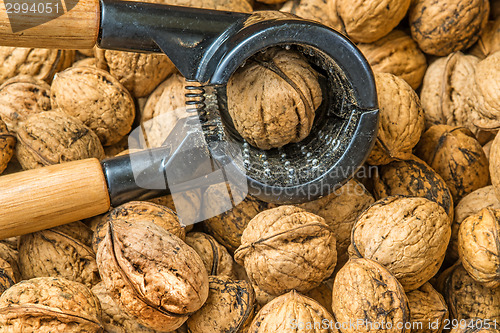 Image of walnut